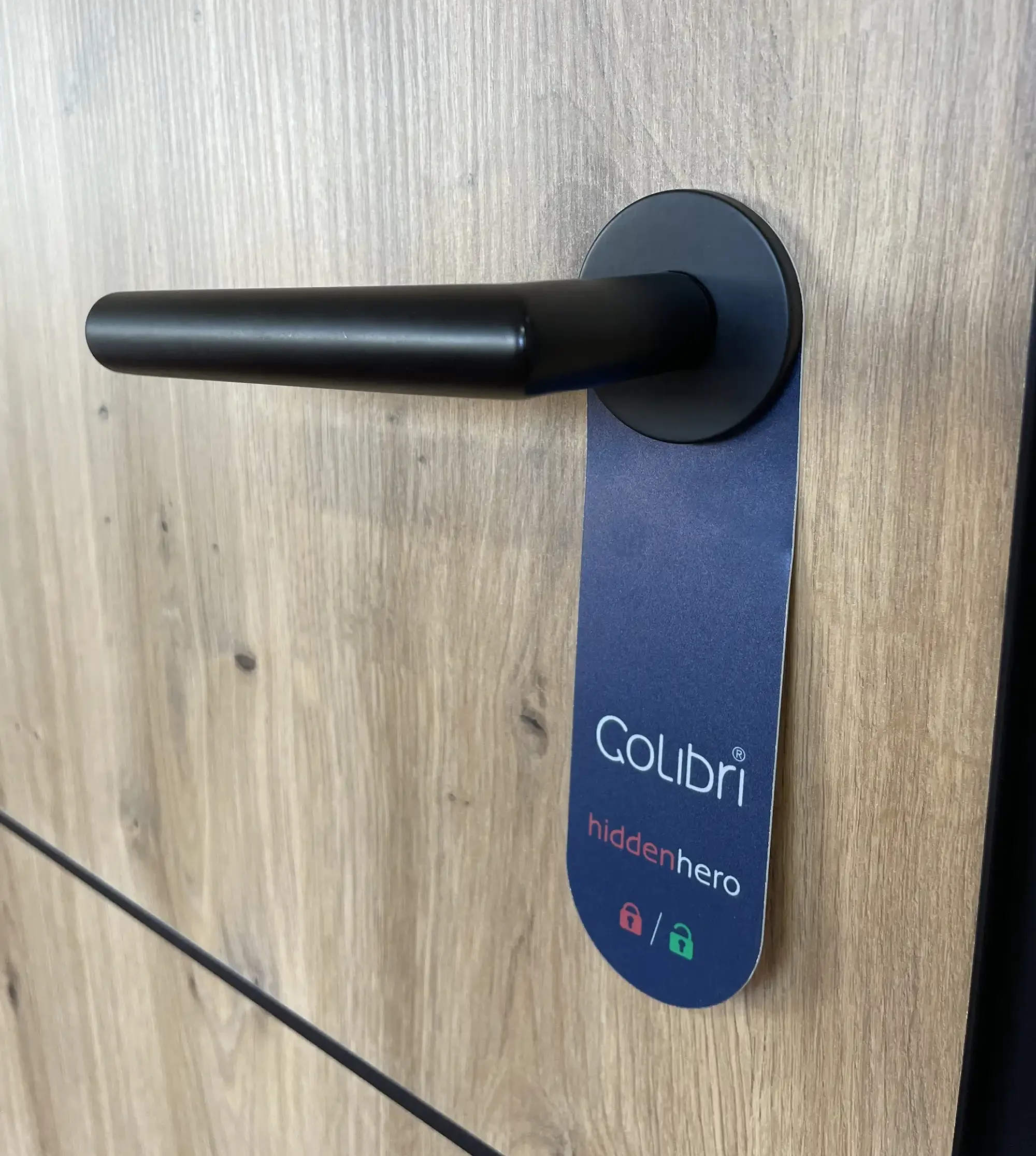 Türgriff mit Smart Lock zum Herausziehen